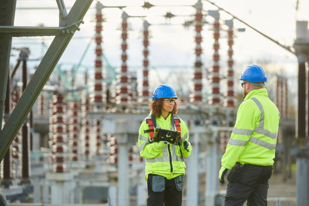 Best Electrical System Inspection  in Burnt Mills, MD