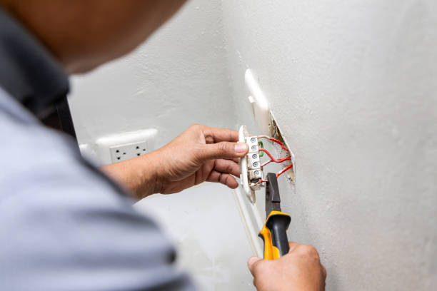 Best Electric Panel Repair  in Burnt Mills, MD